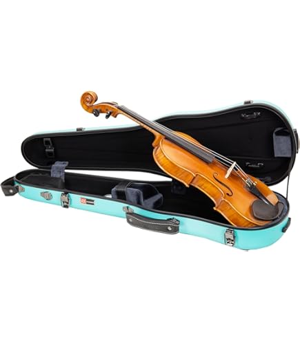 bam I'original Violin Case　FRANCE Amazon.com: Bam France Classic 5003S Shaped 4/4 Violin Case